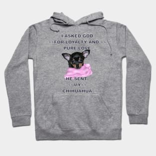 Adorable Chihuahua Puppy Hoodie